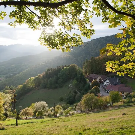 Hotel Logis Du Mehrbachel - & Restaurant