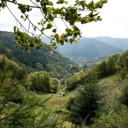 Hotel Logis Du Mehrbachel - & Restaurant Saint-Amarin