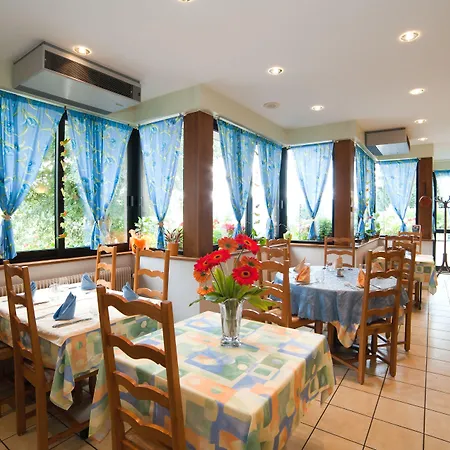 Logis Hotel-restaurant Du Mehrbachel Hotel Saint-Amarin