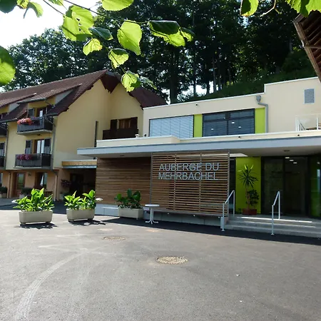 Logis Hotel-restaurant Du Mehrbachel Saint-Amarin