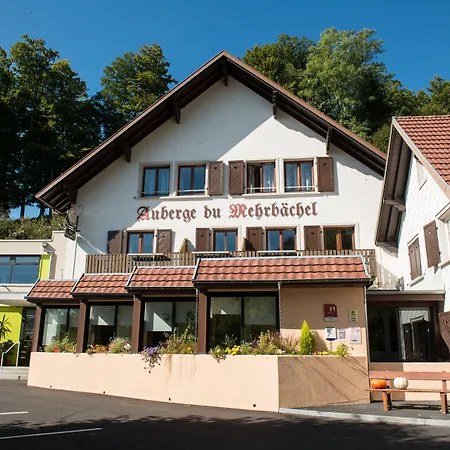 Logis Hotel-restaurant Du Mehrbachel Saint-Amarin