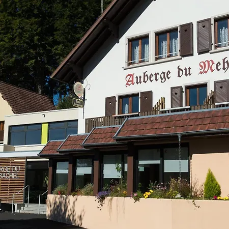 Logis Hotel-restaurant Du Mehrbachel