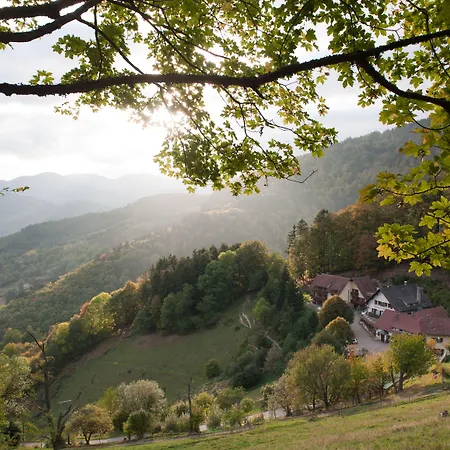 Logis Hotel-restaurant Du Mehrbachel Hotel