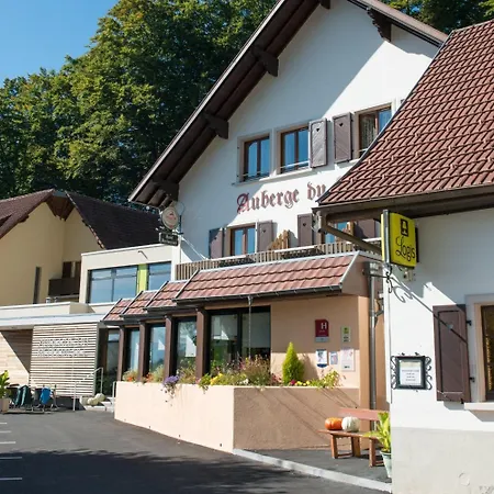 Logis Hotel-restaurant Du Mehrbachel Hotel Saint-Amarin