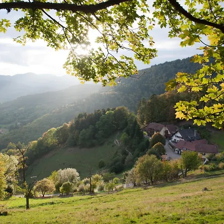 Logis Hotel-restaurant Du Mehrbachel Hotel