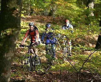 Отель Logis Du Mehrbachel - & Restaurant