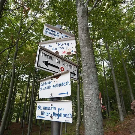 Logis Du Mehrbachel - & Restaurant 3*