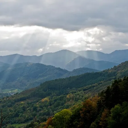 Logis Du Mehrbachel - & Restaurant