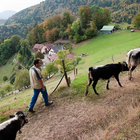 ホテル Logis Hotel-Restaurant Auberge Du Mehrbachel 3*