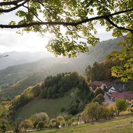 ホテル Logis Hotel-Restaurant Auberge Du Mehrbachel サン・タマラン