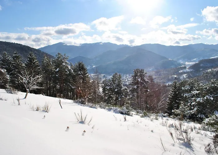 Hotel Logis Du Mehrbachel - & Restaurant