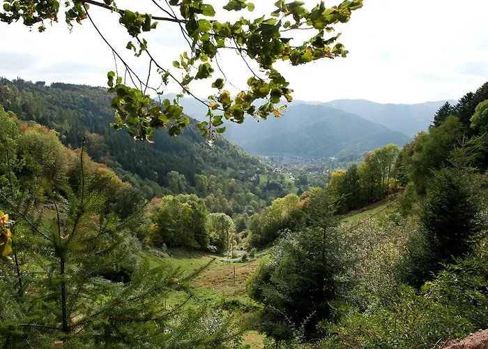 Hotel Logis Du Mehrbachel - & Restaurant Saint-Amarin
