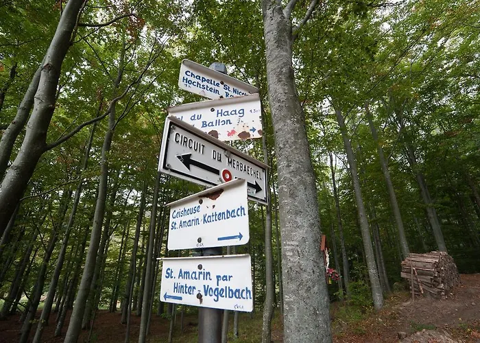 Logis Du Mehrbachel - & Restaurant 3*