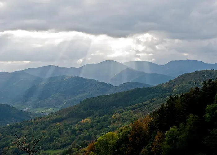 Logis Du Mehrbachel - & Restaurant