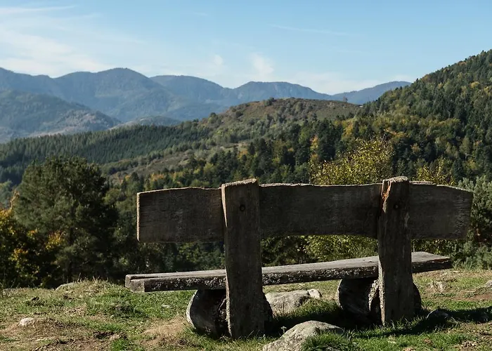 Logis Du Mehrbachel - & Restaurant Hotel
