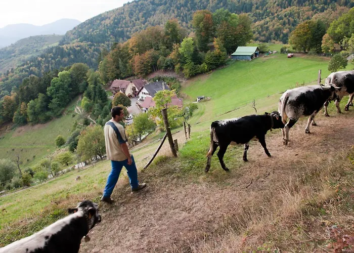 Hotel Logis Du Mehrbachel - & Restaurant 3*