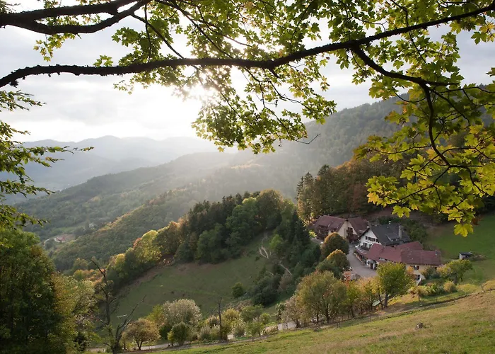 Hotel Logis Du Mehrbachel - & Restaurant Saint-Amarin